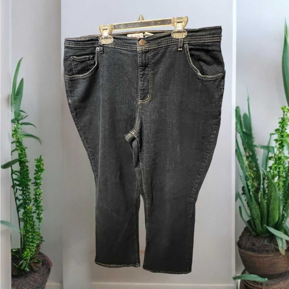 D and co jeans
